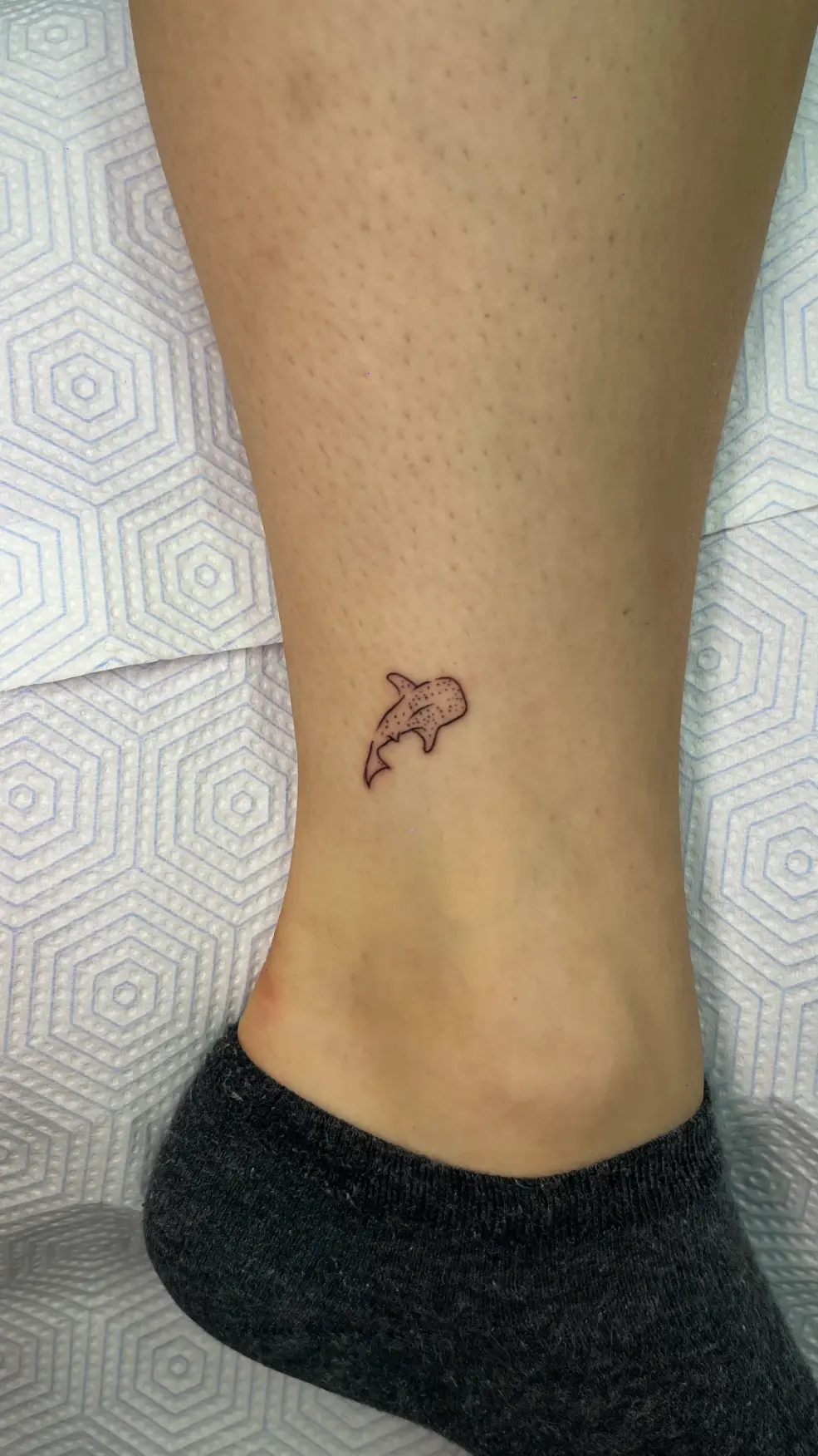 Sketch style tattoo Rovinj
