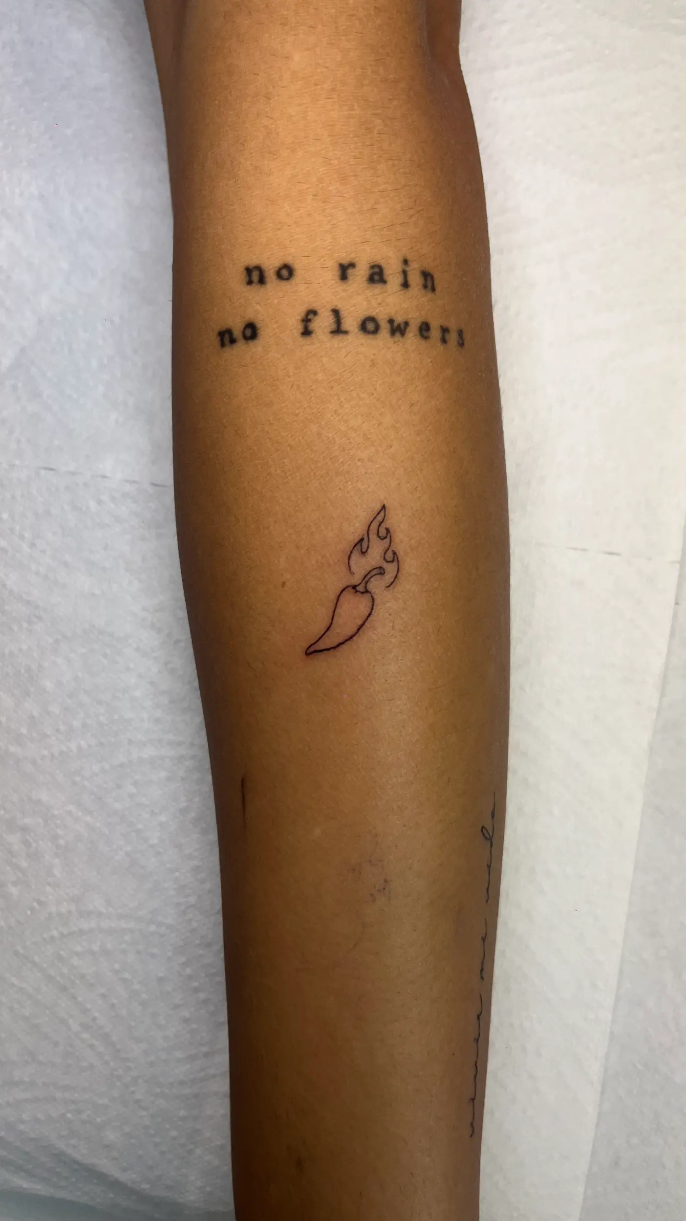 Sketch style tattoo, Midnight Thunder Poreč