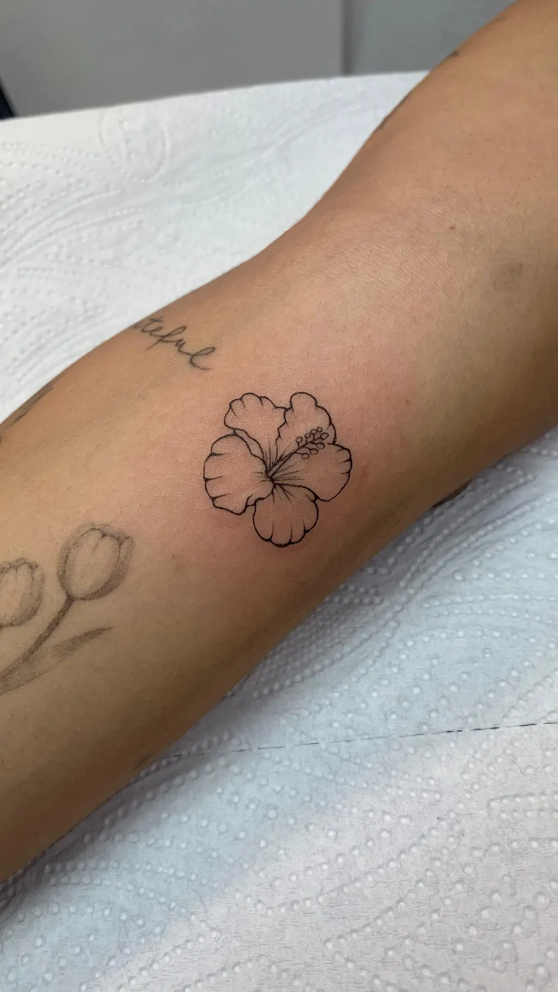 Delicate linework tattoo, Midnight Thunder Rovinj