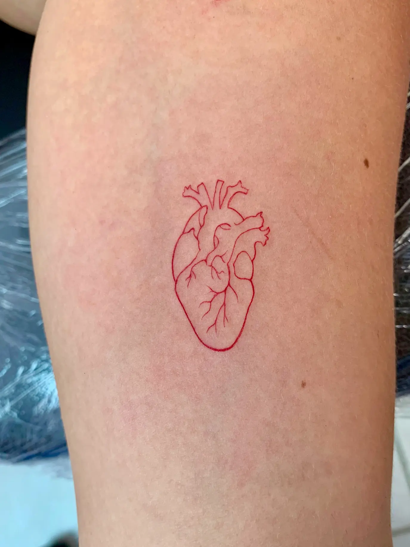 Single needle tattoo — Poreč